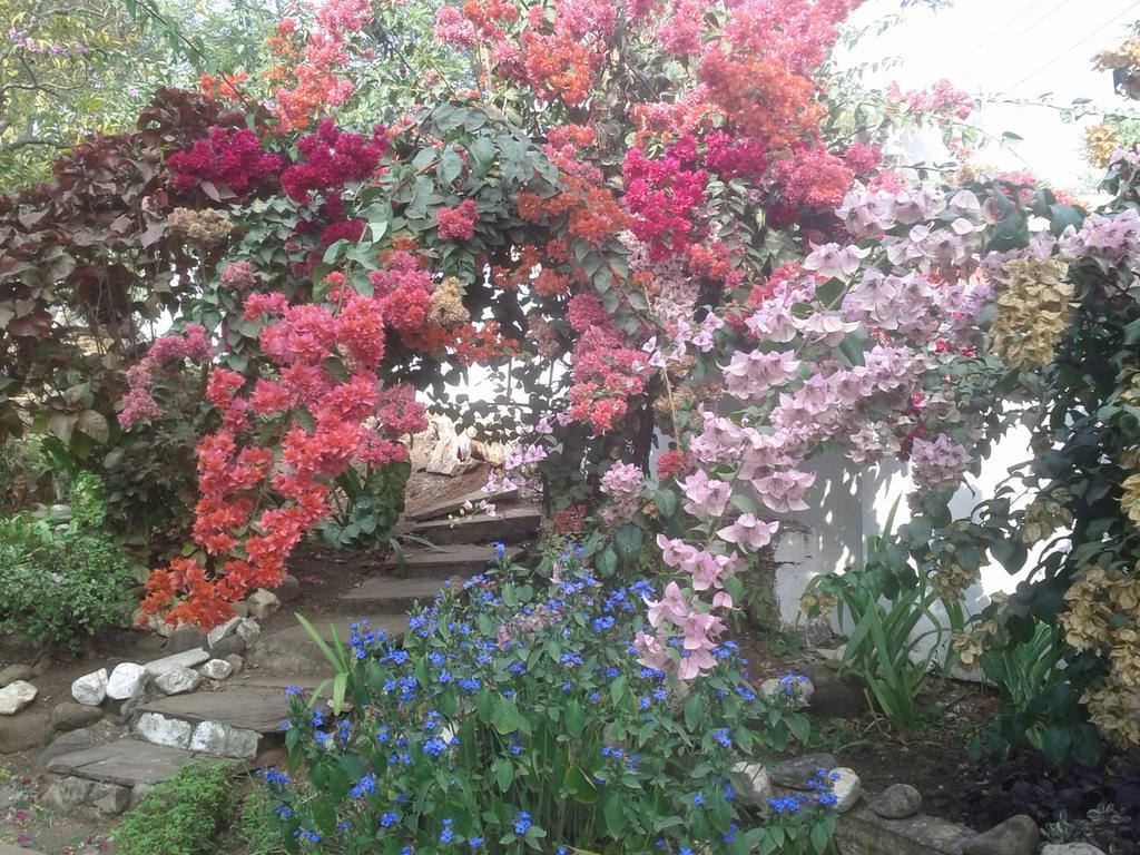 Jheelam Homestay Μποπάλ Εξωτερικό φωτογραφία
