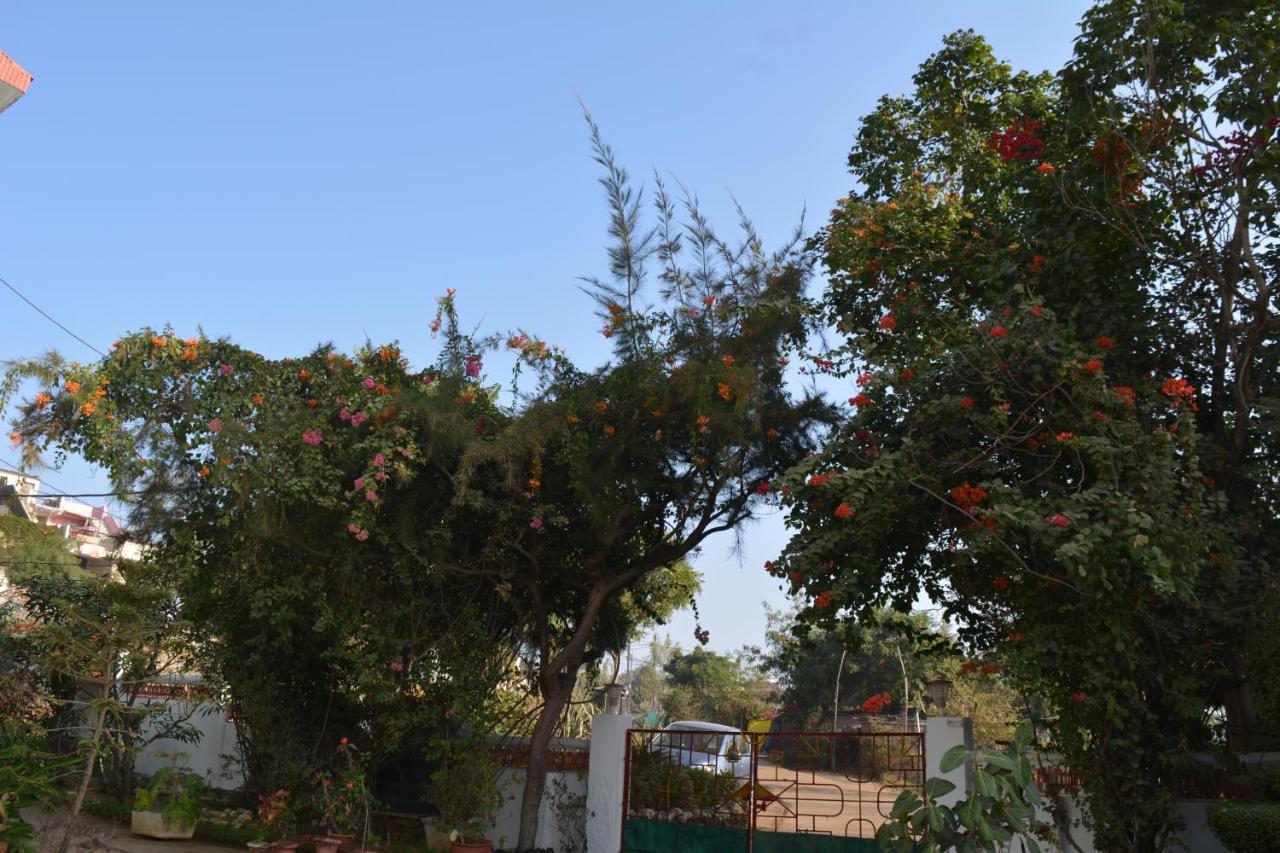 Jheelam Homestay Μποπάλ Εξωτερικό φωτογραφία